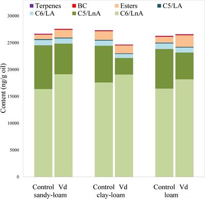 Insights Into the Effect of Verticillium dahliae Defoliating-Pathotype Infection on the Content of Phenolic and Volatile Compounds Related to the Sensory Properties of Virgin Olive Oil